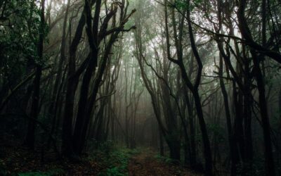 “Η κακιά η ώρα” έχει πιο σκοτεινές ρίζες απ’ όσο νομίζουμε.